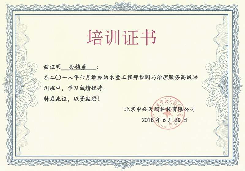 孫梅彥-木童工程師檢測(cè)與治理服務(wù)高級(jí)培訓(xùn)證書(shū).jpg